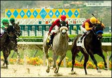 Del Mar's Figures Up; No Deaths So Far on Slower Polytrack Del Mar's Figures Up; No Deaths So Far on Slower Polytrack