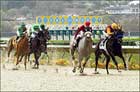Polytrack Debuts Successfully at Del Mar