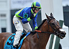 Delaunay Faces Uphill Battle To Repeat in CD Delaunay Faces Uphill Battle To Repeat in CD