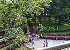 Delaware Park Restricts Picnic Grove Items Delaware Park Restricts Picnic Grove Items