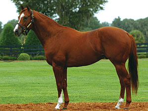 Two Sires Relocated to Penn Ridge Two Sires Relocated to Penn Ridge