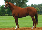 Two Sires Relocated to Penn Ridge Two Sires Relocated to Penn Ridge