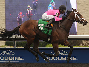 Delegation Dangerous in Woodbine's Eclipse Delegation Dangerous in Woodbine's Eclipse