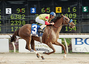 'Dynamite' Seeks Elusive Graded Win 'Dynamite' Seeks Elusive Graded Win