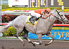 Delightful Kiss Tries Grass Before Dubai