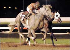 Field of 10 Entered for $750,000 West Virginia Derby Field of 10 Entered for $750,000 West Virginia Derby