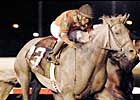 Field of 10 Entered for $750,000 West Virginia Derby