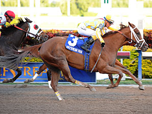 Champion Delightful Mary to Return in Hendrie Champion Delightful Mary to Return in Hendrie