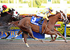 Champion Delightful Mary to Return in Hendrie