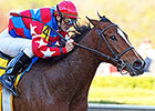 Hollendorfer Takes 3 Shots in Summertime Oaks Hollendorfer Takes 3 Shots in Summertime Oaks