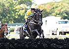 Demonstrative Narrow Victor in Lonesome Glory Demonstrative Narrow Victor in Lonesome Glory