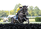 Demonstrative in Aiken Thoroughbred HOF Demonstrative in Aiken Thoroughbred HOF
