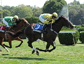Iroquois Steeplechase Features Demonstrative Iroquois Steeplechase Features Demonstrative