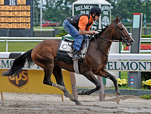 Saint Liam's Former Owner Seeks Upset Saint Liam's Former Owner Seeks Upset
