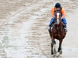 Belmont Notes: June 5 Belmont Notes: June 5