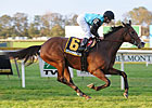 Denomination Heads Field for My Charmer