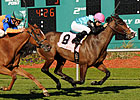 Denomination the One to Beat in Violet Stakes Denomination the One to Beat in Violet Stakes