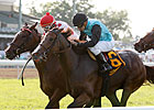 Denomination Rallies for Violet Stakes Win Denomination Rallies for Violet Stakes Win