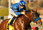 Den's Legacy Heads Modest Field in Affirmed Den's Legacy Heads Modest Field in Affirmed
