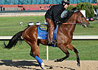 Split Oceanside Kicks Off Del Mar Summer Meet Split Oceanside Kicks Off Del Mar Summer Meet