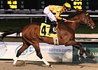 Overlooked Illinois Derby Comes Up Strong Overlooked Illinois Derby Comes Up Strong