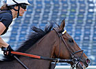 Departing Sees Pimlico for First Time Departing Sees Pimlico for First Time