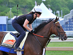Looking at Fresh Contenders in the Preakness Looking at Fresh Contenders in the Preakness