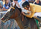 Departing a Millionaire After WV Derby Win Departing a Millionaire After WV Derby Win