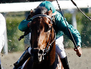 Kentucky Derby Challenge Analysis Kentucky Derby Challenge Analysis