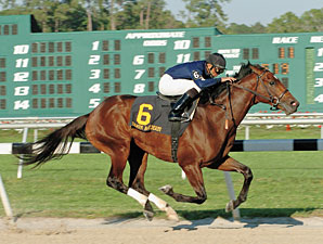 Deputy Glitters to Journeyman Stud Deputy Glitters to Journeyman Stud