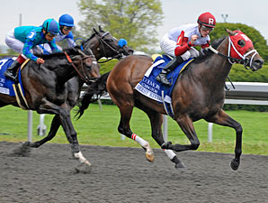 Derby Kitten Pulls Lexington Upset Derby Kitten Pulls Lexington Upset