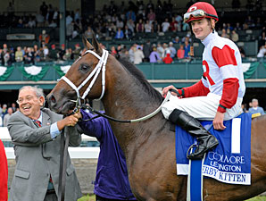 Derby Kitten Aims for Preakness Derby Kitten Aims for Preakness