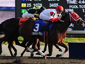 Derby Kitten Scratches Out Ontario Derby Win Derby Kitten Scratches Out Ontario Derby Win