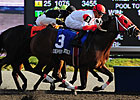 Derby Kitten Scratches Out Ontario Derby Win Derby Kitten Scratches Out Ontario Derby Win