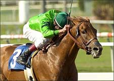 Desert Code Wires Affirmed Handicap Desert Code Wires Affirmed Handicap