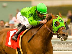 Millionaire Desert Code to Harris Farms Millionaire Desert Code to Harris Farms