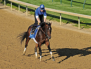 Bloodstock & Markets: Debut Hit Bloodstock & Markets: Debut Hit