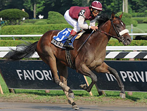 Desert Party Retired; Will Stand at Darley Desert Party Retired; Will Stand at Darley
