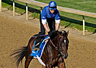 Godolphin's Desert Party on Track for Derby Godolphin's Desert Party on Track for Derby