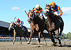 Designer Legs Emerges With Adirondack Win Designer Legs Emerges With Adirondack Win