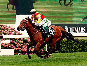 Designs On Rome Captures Hong Kong Thriller Designs On Rome Captures Hong Kong Thriller