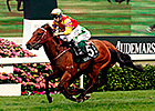 Designs On Rome Captures Hong Kong Thriller Designs On Rome Captures Hong Kong Thriller