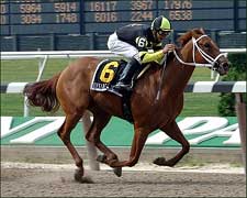 Desire to Excel Romps in Astoria at 24-1 Desire to Excel Romps in Astoria at 24-1