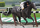 Despite the Odds Rolls in Sloppy Hill Prince Despite the Odds Rolls in Sloppy Hill Prince