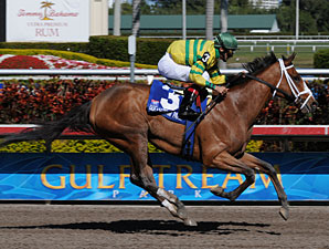 Devil May Care: A Filly Worth Holding On To Devil May Care: A Filly Worth Holding On To