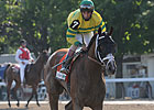 Blind Luck, Devil May Care Headed for Alabama Blind Luck, Devil May Care Headed for Alabama