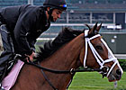 Devil May Care: Oaks or Derby?