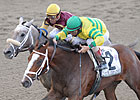 Devil May Care Earns Breeders' Cup Berth Devil May Care Earns Breeders' Cup Berth
