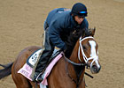 Haskin's Derby Report: The Gods and the Devil Haskin's Derby Report: The Gods and the Devil