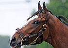 My Oaks/Derby Week in Photos